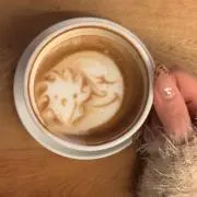 麻婆茄子の画像