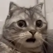 いお