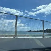 あさりの画像
