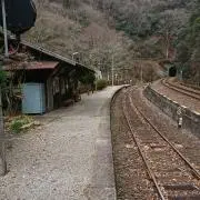 フォッケウルフの画像