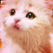 【モア】