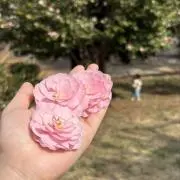 chaki✿の画像