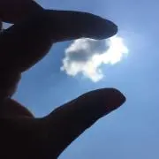 もちもちーの画像