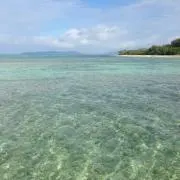 山本