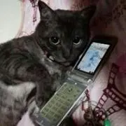 ゆうこ(´V`)♪