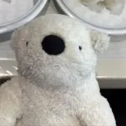 ごまの画像
