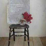 スプラッシュレインの画像