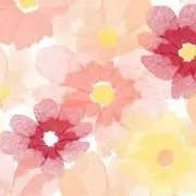 me*panの画像