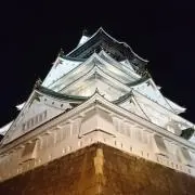 RSの画像