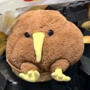 ゆきの画像