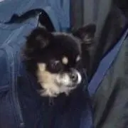 まさたろう