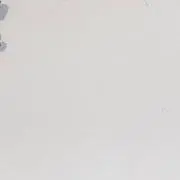 にの画像