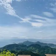 A.Y