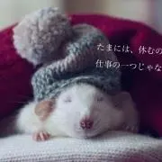 かおりんの画像