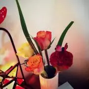 ヒマワリの画像