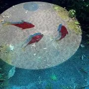 Yuの画像