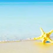 ＊ストロベリー＊の画像