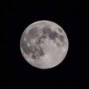 はるの画像