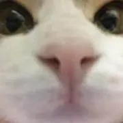 はるか