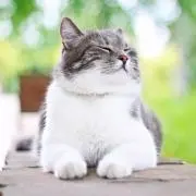 日向ぼっこのアト☀️