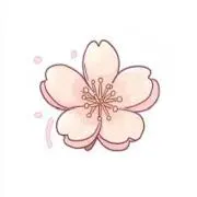 桜華