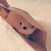 りのたん