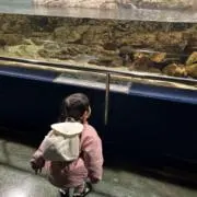 momoの画像