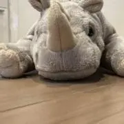 gaogaoの画像