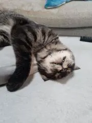 ままちゃん