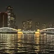 椿の画像