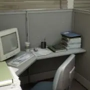 ぱむの画像