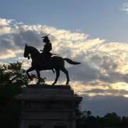 ぴーの画像