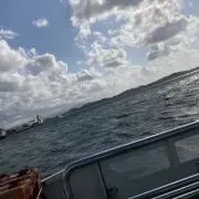 笹の気