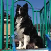 アトミックス