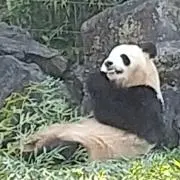 まぁ
