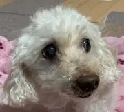 ☆とんとん♪♪の画像