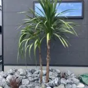 ♡の画像