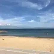 tomの画像