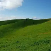ヨッシーの画像