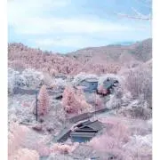 Y.Iの画像