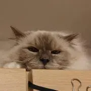 まんなすび