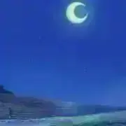 ミソの画像