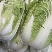 はくさん