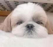 ななぴの画像