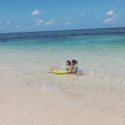 ツインズの画像
