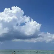くり[即購入⭕️]の画像
