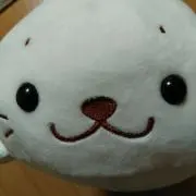 Pucheの画像