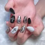 Nitoの画像
