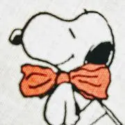 チョコレート 《プロフ必読》