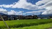 terefamの画像